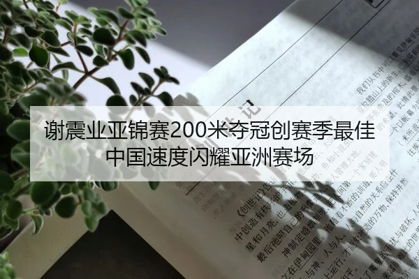 谢震业亚锦赛200米夺冠创赛季最佳 中国速度闪耀亚洲赛场