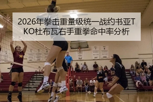 2026年拳击重量级统一战约书亚TKO杜布瓦右手重拳命中率分析