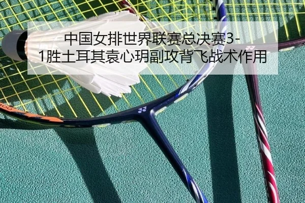 中国女排世界联赛总决赛3-1胜土耳其袁心玥副攻背飞战术作用